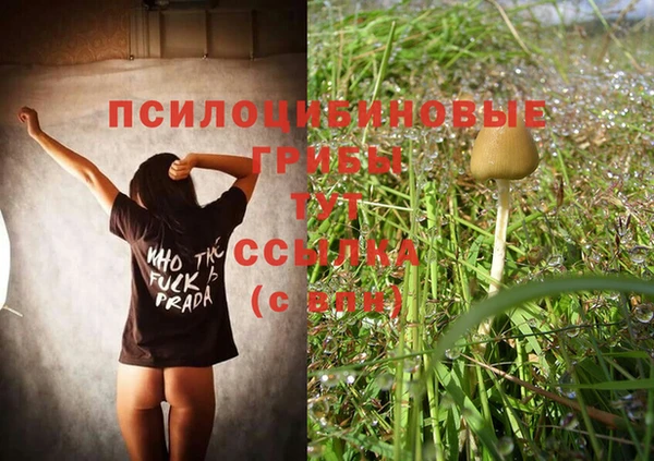 бошки Беломорск