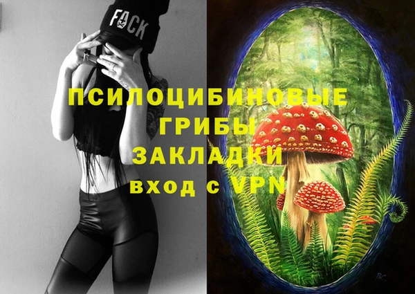 бошки Беломорск