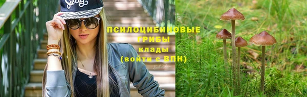 альфа пвп Белокуриха